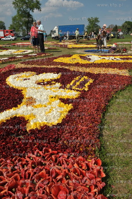 Zulawski Tulipan -  piata edycja imprezy zorganizowanej...