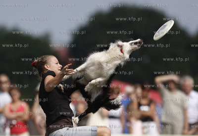Sopot. Hipodrom. Zawody Frisbee - latajace psy za latajacym...