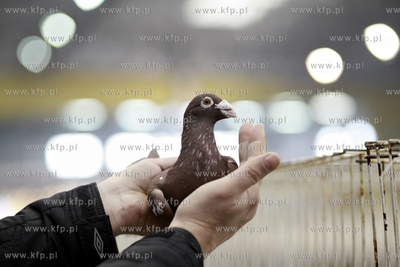 Gdansk. Międzynarodowe Targi Gdańskie. Bałtycka...