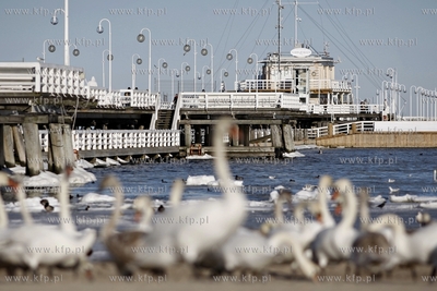 Sopot. Molo.
20.02.2012
fot. Krzysztof Mystkowski...