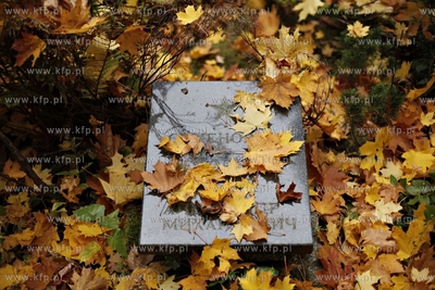 Sopot. Cmentarz Zolnierzy Radzieckich.
24.10.2012
fot....