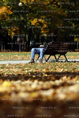 Sopot. Park Polnocny.
14.10.2013
fot. Krzysztof Mystkowski...