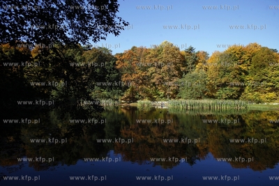 Sopot. Staw Morskie Oko.
14.10.2013
fot. Krzysztof...