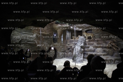 Dzien Otwarty oliwskiego Zoo. Tlumy podczas otwarcia...