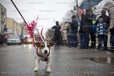 Gdansk. Parada na Swieto Niepodleglosci.
11.11.2016
fot....