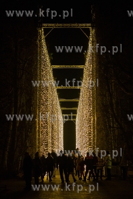 Iluminacje w Parku Oliwskim 02.12.2018. Fot. Anna Rezulak...