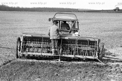 Prace rolne w PGR w Rusocinie. 
16.03.1977
4marzec77_z.kosycarz_p31
Fot....