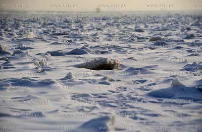 Wyspa Sobieszewska. Swibno. Rzeka Wisla skuta lodem.25.01.2010fot....