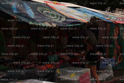 Czeste opady nie pozwalaja w pelni cieszyc sie trwajacym...