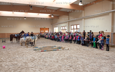 Szkolka jazdy konnej Galoopka zorganizowala dla swoich...