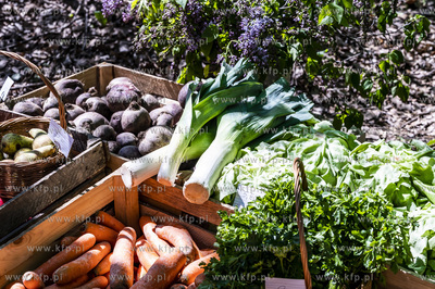 Gdynia. Park Kolibki. XVI edycja Ogród & Wielka Majówka.

07.05.2023...