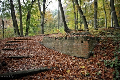 Pozostalosci cmentarza zydowskiego na  Krolewskim Wzgorzu...