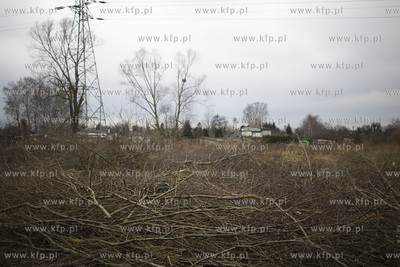 Wycinka drzew przy ul. Kochanowskiego w Gdańsku.
28.02.2017
fot....