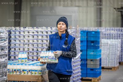 Nowy Dwór Gdański. Okręgowa Spółdzielnia Mleczarska...
