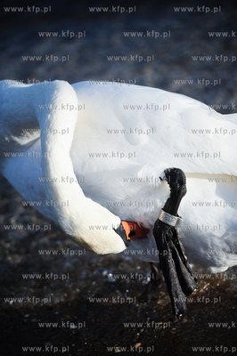 Sopot. Sloneczny dzien na plazy.
09.12.2011
fot....
