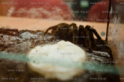 Uniwersytet Gdanski. Wydzial Biologii. Trzecia edycja...