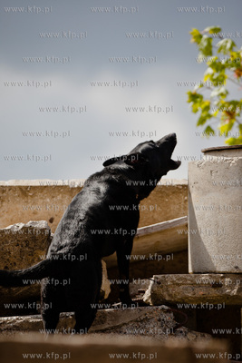 Gdansk Oliwa. Jednostka Strazy Pozarnej przy ul. Beniowskiego....