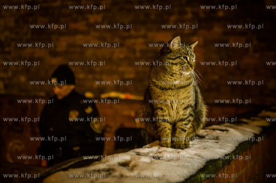 Gdansk. Prowadzone na terenie miasta liczenie osob...