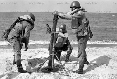 Żołnierze Ludowego Wojska Polskiego tzw. niebieskie...