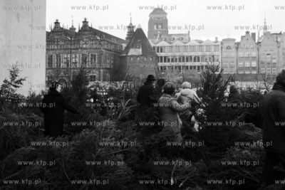 Sprzedaz choinek obok Targu Weglowego w Gdansku. 
15.12.1975
3grudzien75_z.kosycarz_p22
Fot....