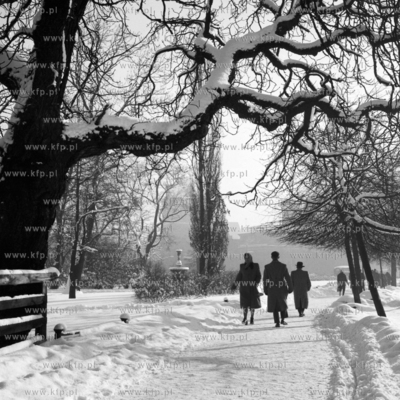 Zimowy spacer na skwerze Mały Błędnik w Gdańsku.
1965
0007703z
Fot....