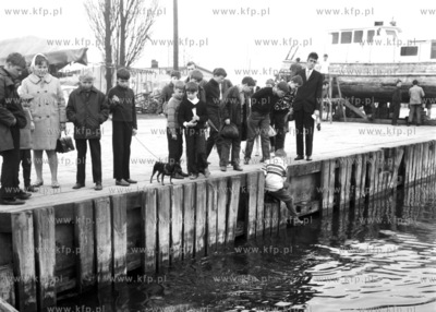 Ćwiczenie nurków.
04.1969
0001937z_kwiecien1969
Fot....