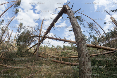 Skutki nawałnicy, która z piątku na sobotę przeszła...