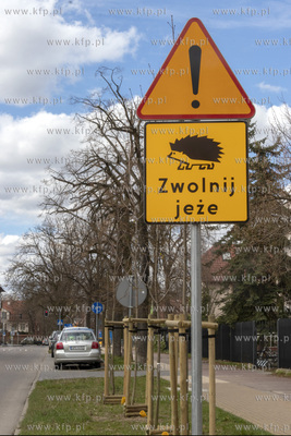 Znaki ostrzegawcze Zwolnij jeże na ulicy Mickiewicza...