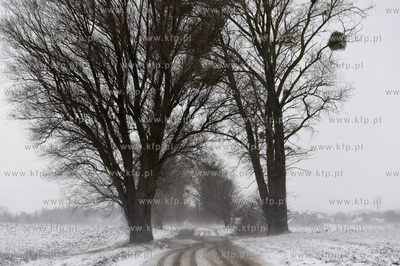 Zima w Sulminie na Kaszubach gmina Źukowo. Pierwszy...