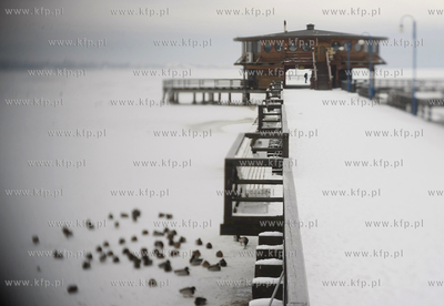 Puck. Zamarznieta Zatoka Pucka. 14.01.2010 fot. Krzysztof...