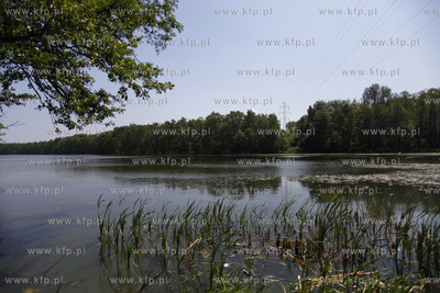 Pusty Staw - jezioro na gdanskich Stogach.
30.05.2011
fot....