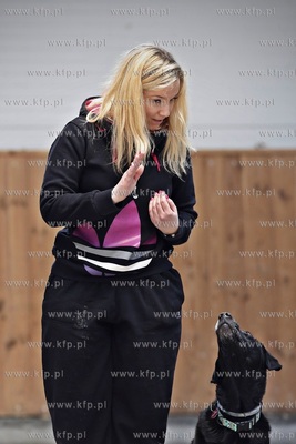 Sopot. Hipodrom. Psie zawody o Puchar Planet Pet Society...