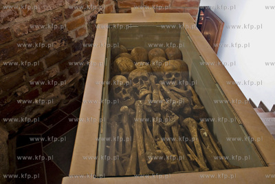 Krypta Biskupów w Katedrze Oliwskiej. 03.11.2016 fot....