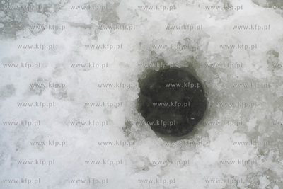 Wędkarstwo podlodowe w Gdańsku na skutej lodem Motławie...