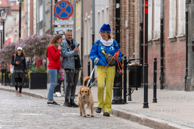 Święto Ulicy Ogarnej, podczas którego, w ramach...