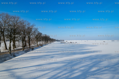 Zima na Żuławach. Pola w okolicach Palczewa. 18.01.2026...