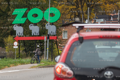 Gdańsk. Z O O w Oliwie. Pożegnanie ostatniego słonia....
