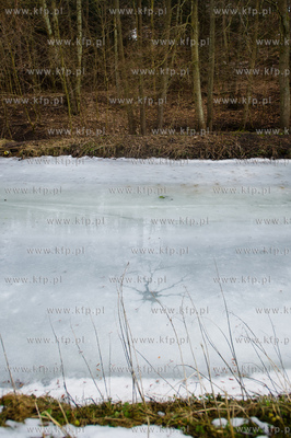 Gdansk. Oliwa, Trojmiejski Park Krajobrazowy. Sciezka...