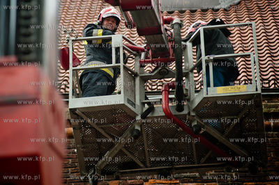 Gdansk. Akcja ratunkowa kaczki krzyzowki oraz jej nowo...