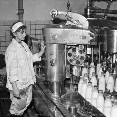 Linia produkcyjna w Spółdzielni Mleczarskiej w Starogardzie...