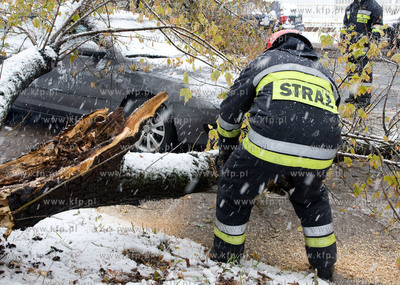 Nagly atak zimy w Warszawie.  Powalone drzewa na ulicy...
