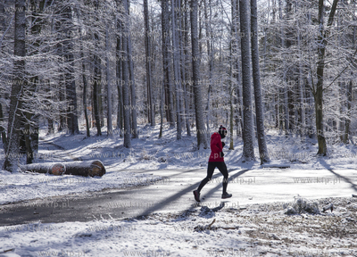 Aktywny przedpołudnie w Trójmiejskim Parku Krajobrazowym....