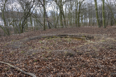 Park Ferberów w okolicach Traktu św. Wojciecha w...