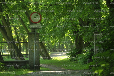 Teren parku znajdujacego sie na wysokosci osiedla Tysieclecia...