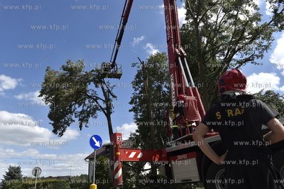 Skutki wichury na Pomorzu.  Raduń na Kaszubach, gmina...