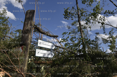 Skutki wichury na Pomorzu. Zniszczony przez wiatr las...