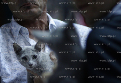 Sopot. Miedzynarodowa wystawa kotow.
07.08.2010
fot....