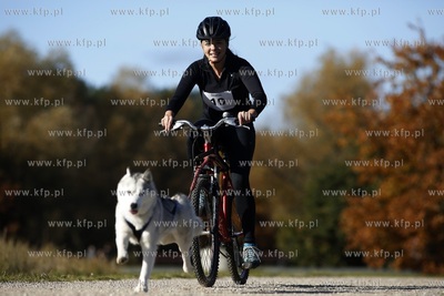 Gdańsk. Park Reagana. Pucharu Polski Psich Zaprzęgów...