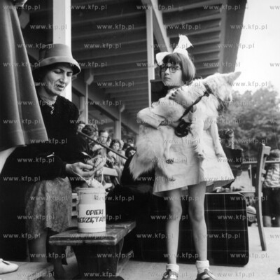 Wystawa pieskow na stadionie Lechii w Gdansku. 1960...