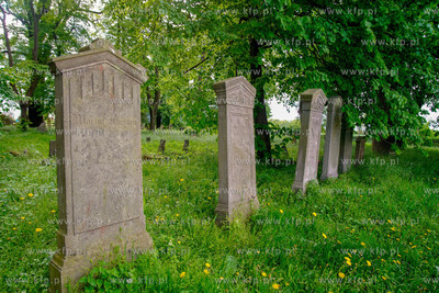 Cmentarz mennonicki w Stogach Malborskich na Żuławach....